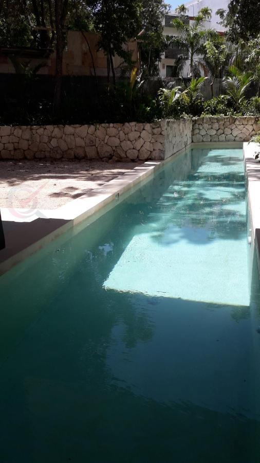 New Luxury Suite Con Plunge Pool Privado Tulum Eksteriør bilde