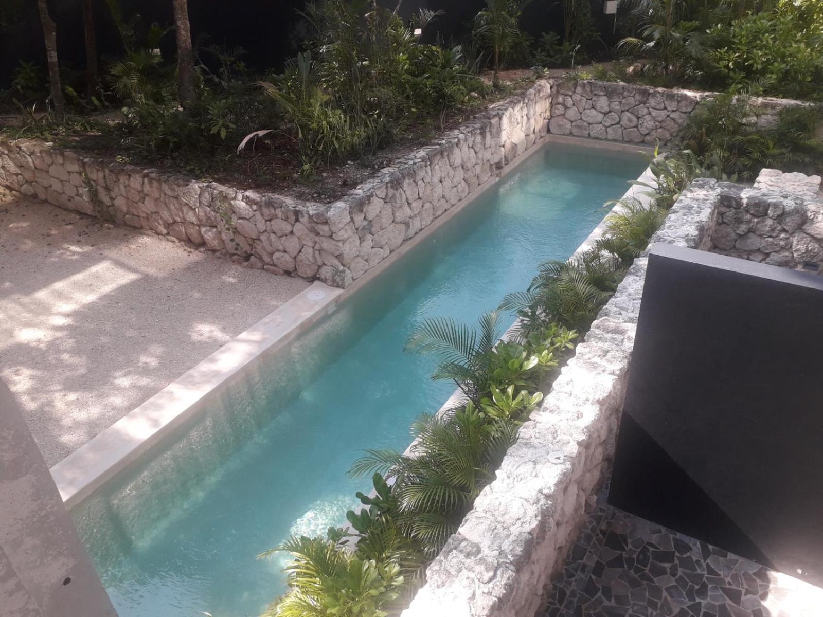 New Luxury Suite Con Plunge Pool Privado Tulum Eksteriør bilde
